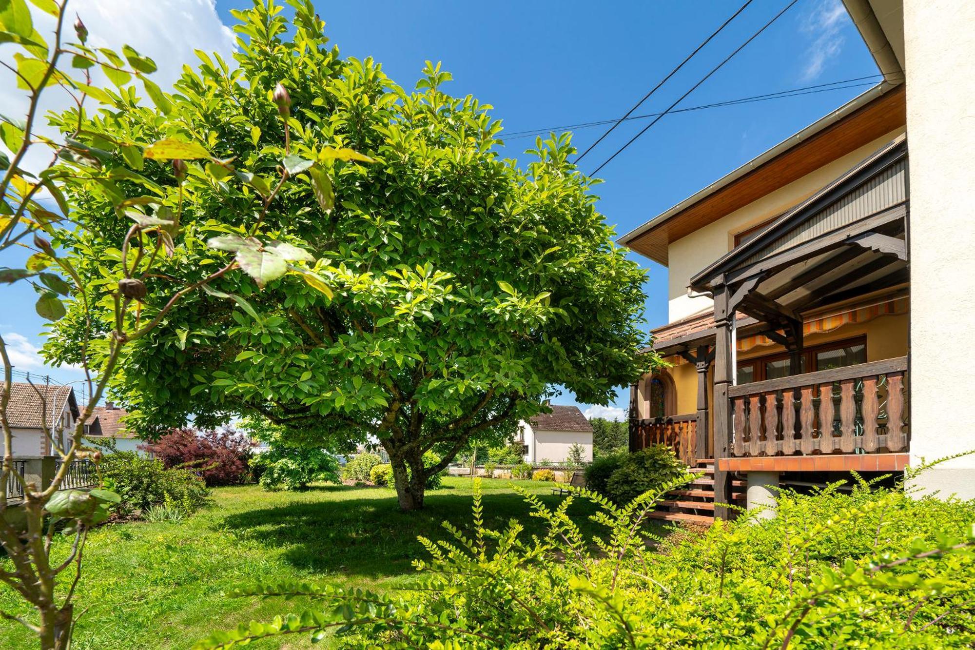La Clef Des Songes Bed & Breakfast Mertzwiller Ngoại thất bức ảnh