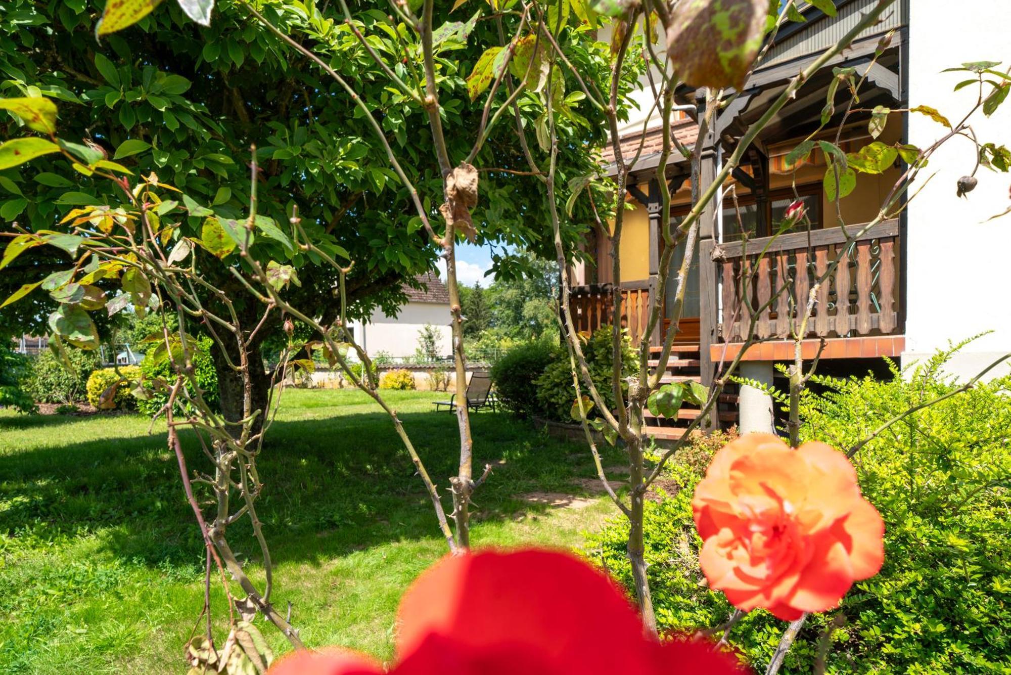 La Clef Des Songes Bed & Breakfast Mertzwiller Ngoại thất bức ảnh
